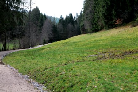 Around Sankenbach 2020-03-12 36