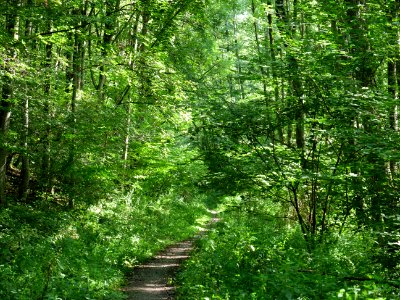 Around Schlehbach between Schmidt and Brück 11