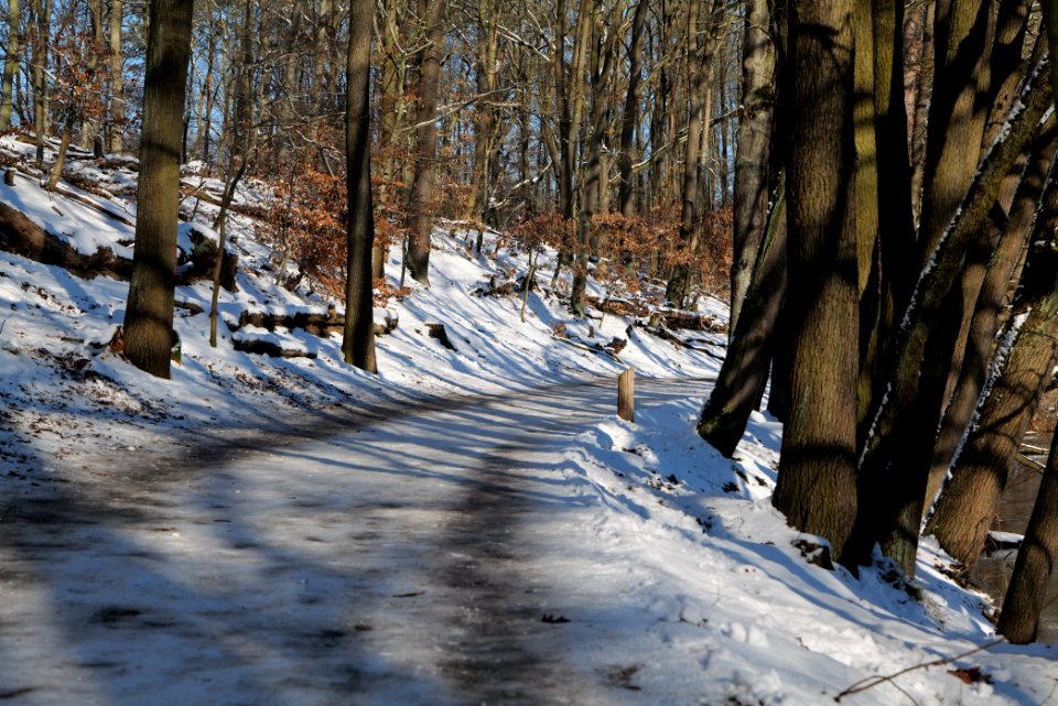 Around Schlachtensee with snow 2021-01-31 15