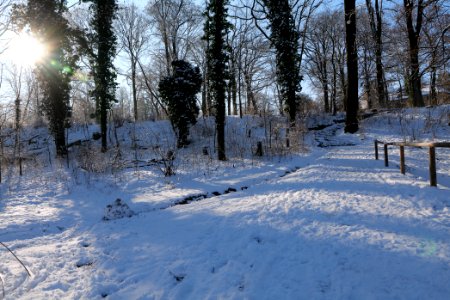 Around Schlachtensee with snow 2021-01-31 10