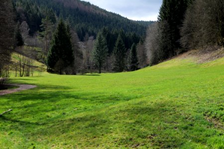 Around Sankenbach 2020-03-12 27