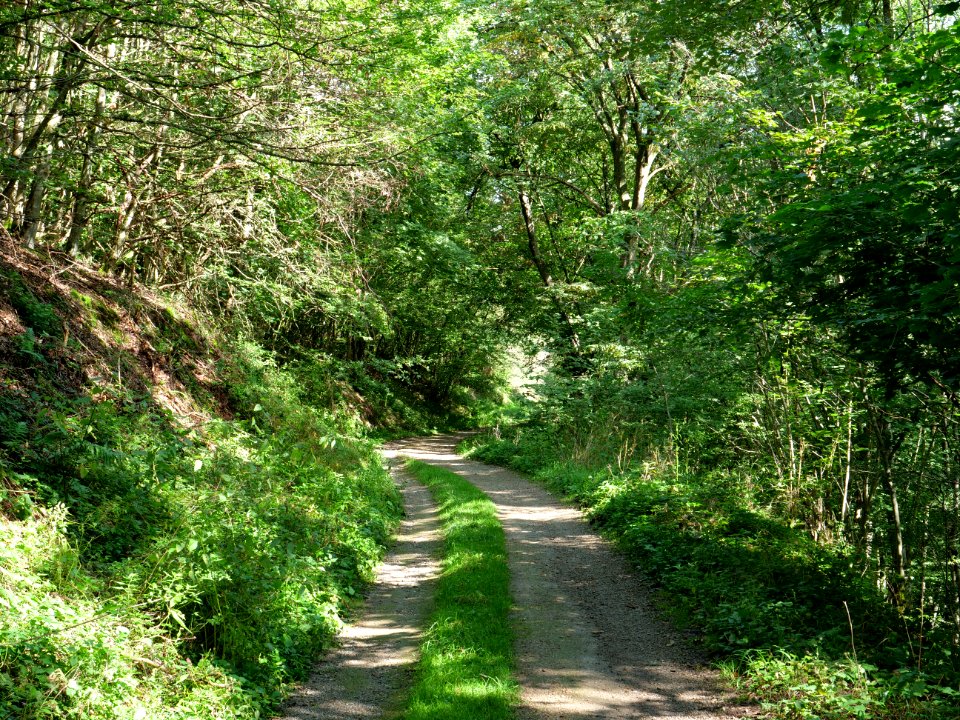 Around Schlehbach between Schmidt and Brück 08