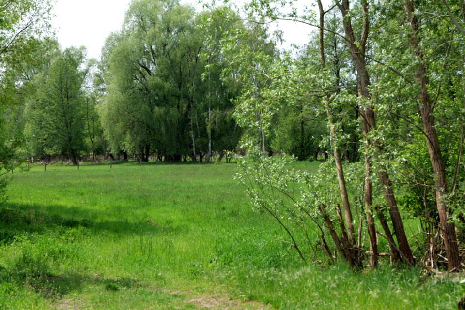 Around Hohenschöpping 2020-05-10 23