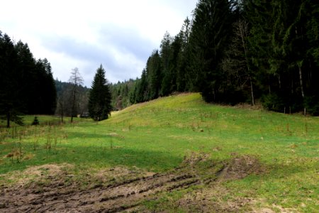 Around Sankenbach 2020-03-12 42