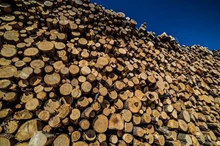 Pile pattern logging photo