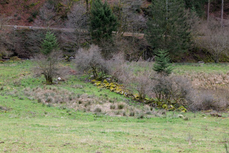 Around Harzbach 2020-03-13 15