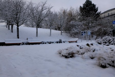 Around Griebnitzsee with snow 2021-01-30 01