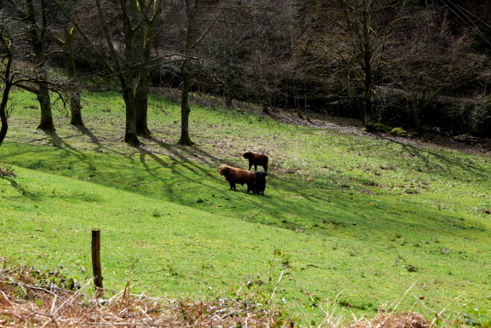 Around Harzbach 2020-03-13 21