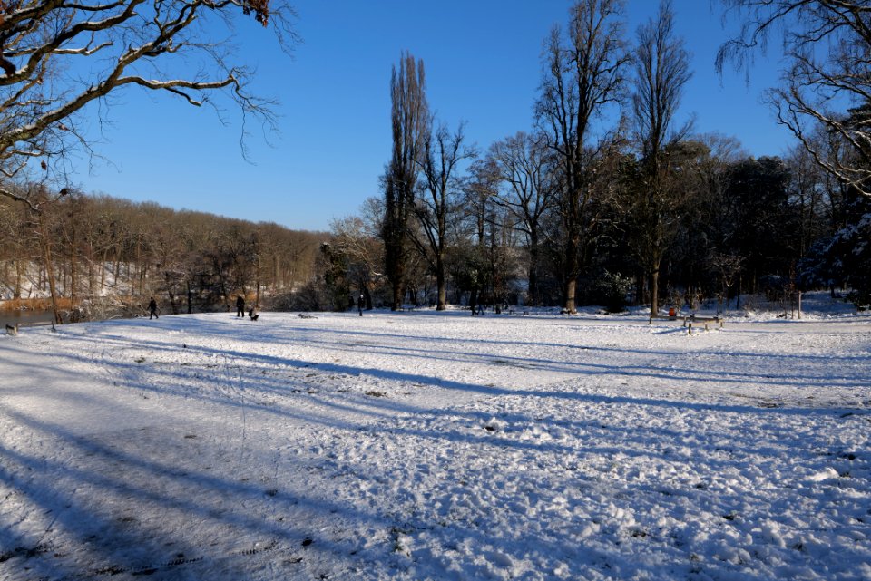 Around Schlachtensee with snow 2021-01-31 02