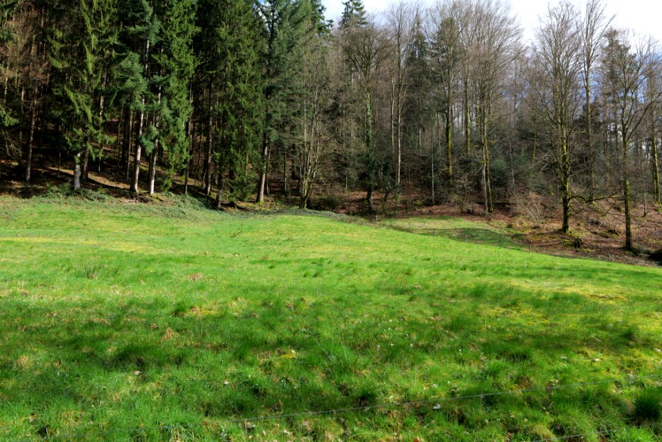 Around Grobbach 2020-03-13 02