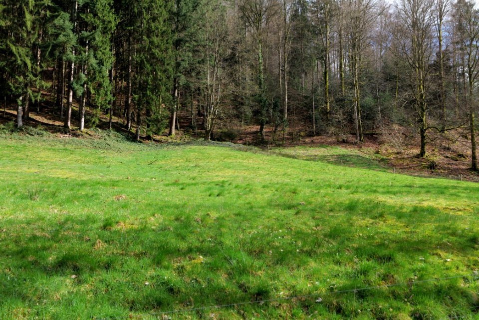 Around Grobbach 2020-03-13 01