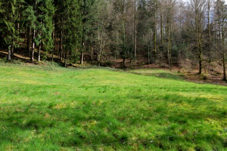 Around Grobbach 2020-03-13 01