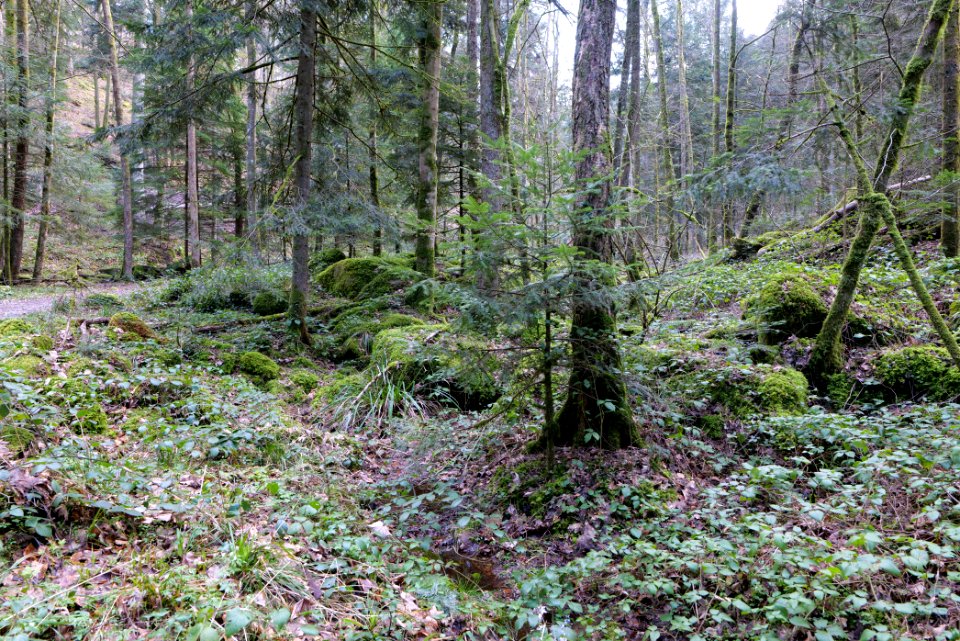Around Grobbach 2020-03-13 09