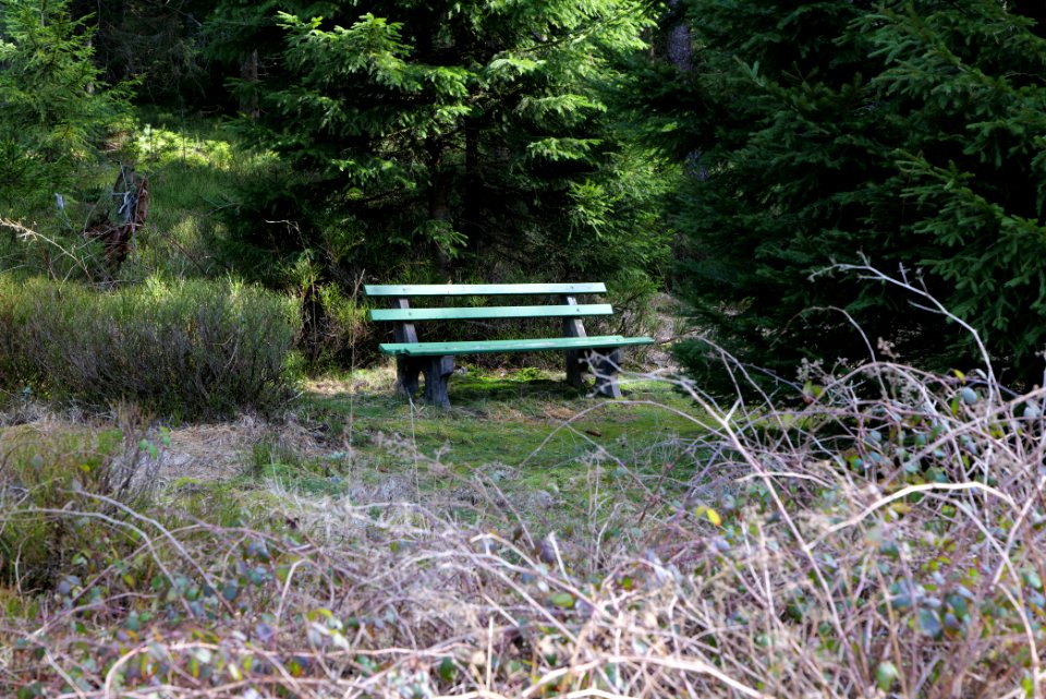 Around Schwarzenbach Northern Black Forest 2020-03-15 08