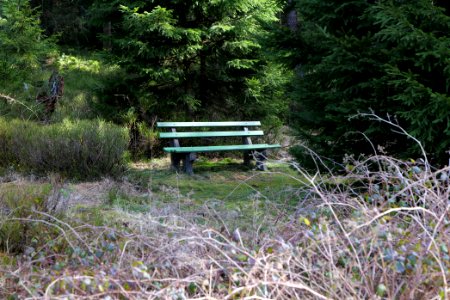 Around Schwarzenbach Northern Black Forest 2020-03-15 08