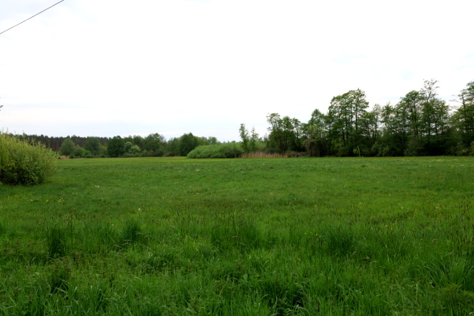 Around Pinnower See 2020-05-10 42