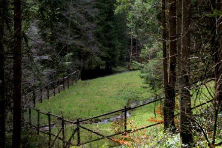 Around Sankenbach 2020-03-12 38