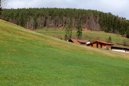 Around Sankenbach 2020-03-12 28