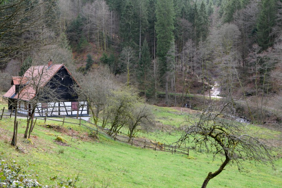 Around Harzbach 2020-03-13 20