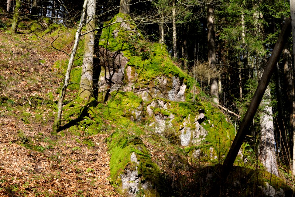 Around Harzbach 2020-03-13 23