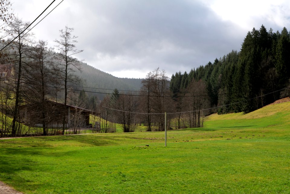 Around Sankenbach 2020-03-12 24
