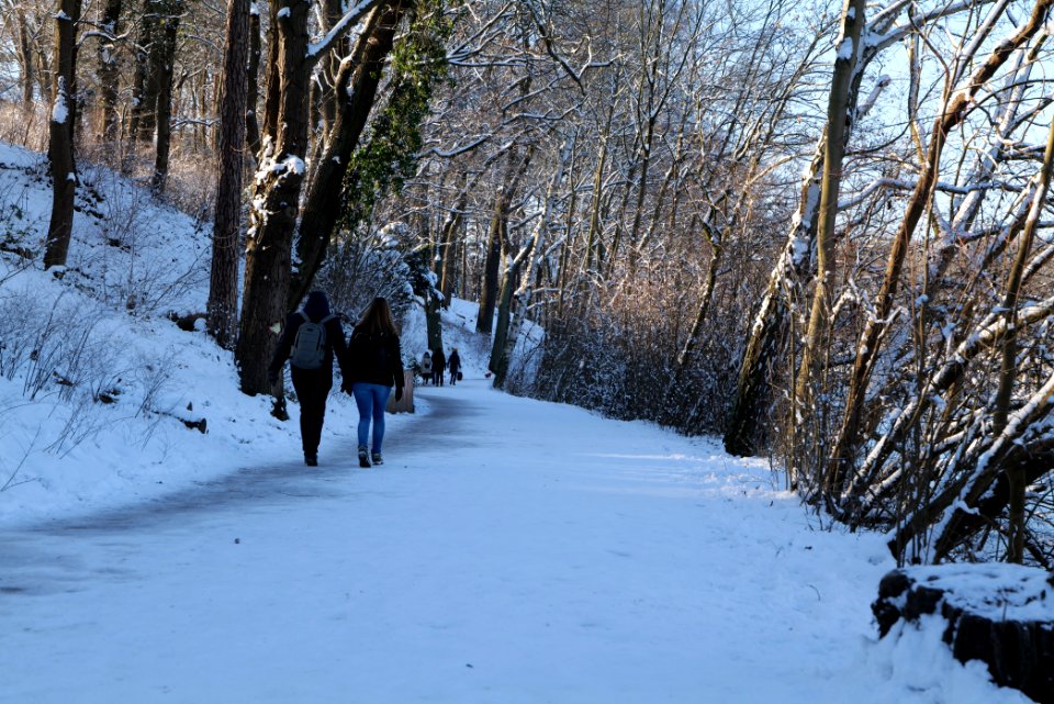 Around Schlachtensee with snow 2021-01-31 14
