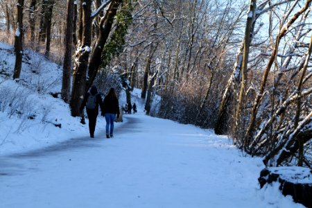 Around Schlachtensee with snow 2021-01-31 14