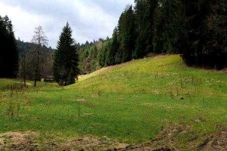 Around Sankenbach 2020-03-12 44