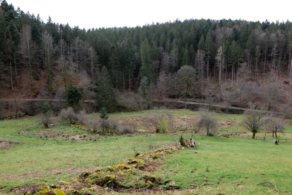 Around Harzbach 2020-03-13 13