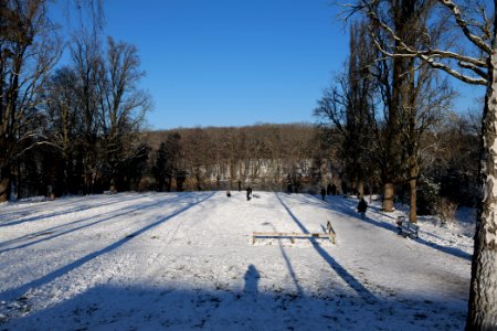 Around Schlachtensee with snow 2021-01-31 01