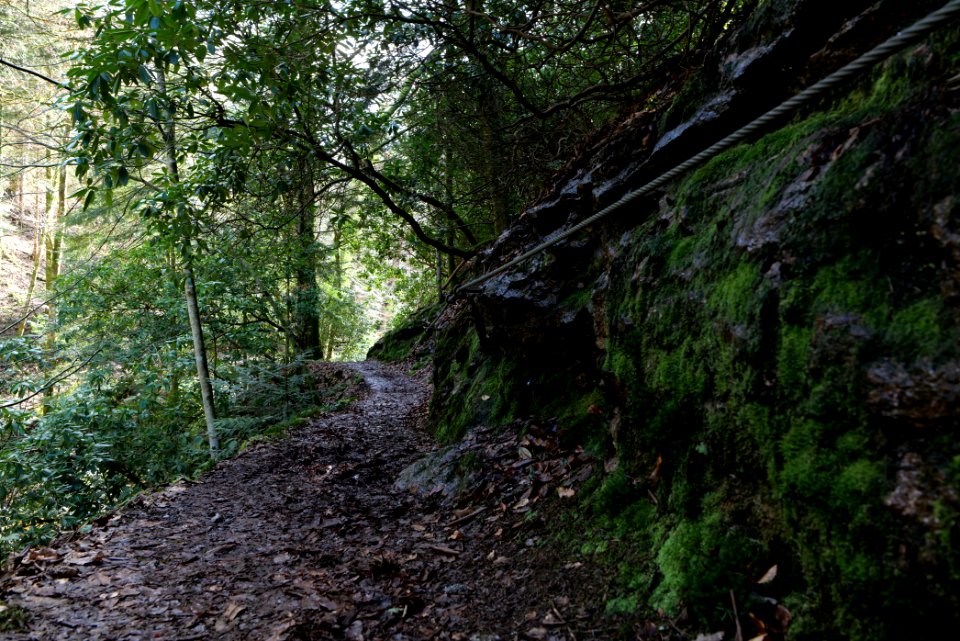 Around Geroldsau Waterfall 2020-03-13 17