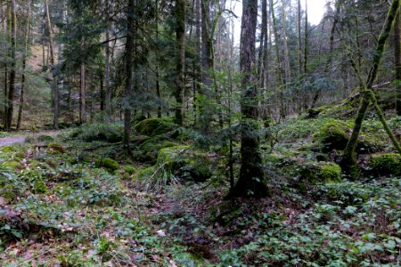 Around Grobbach 2020-03-13 10