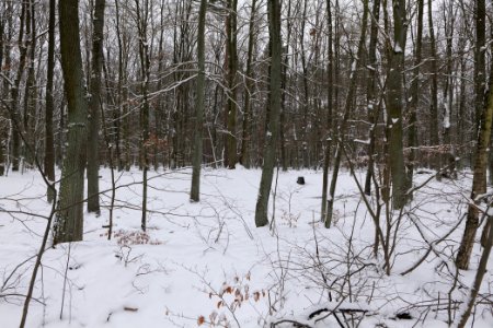Around Oberjägerweg in Nieder Neuendorf with snow 2021-02-09 06