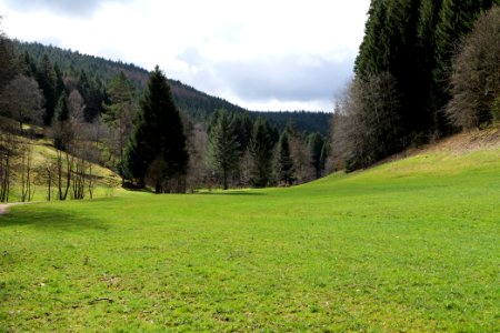 Around Sankenbach 2020-03-12 31
