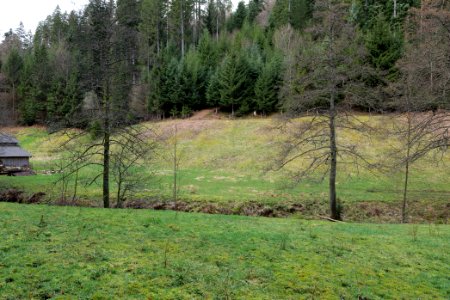 Around Sankenbach 2020-03-12 45