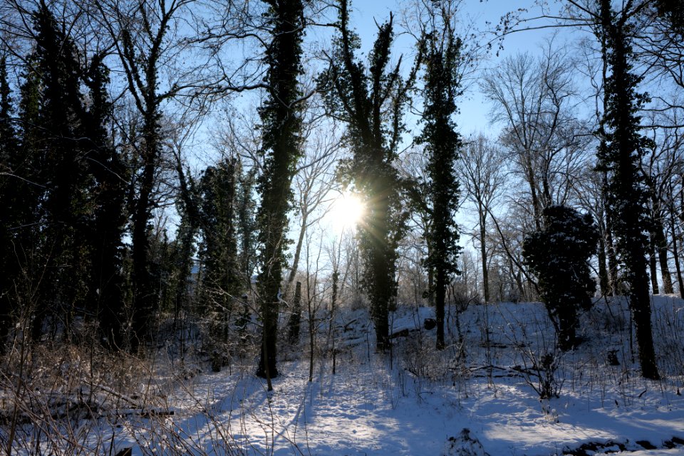 Around Schlachtensee with snow 2021-01-31 12