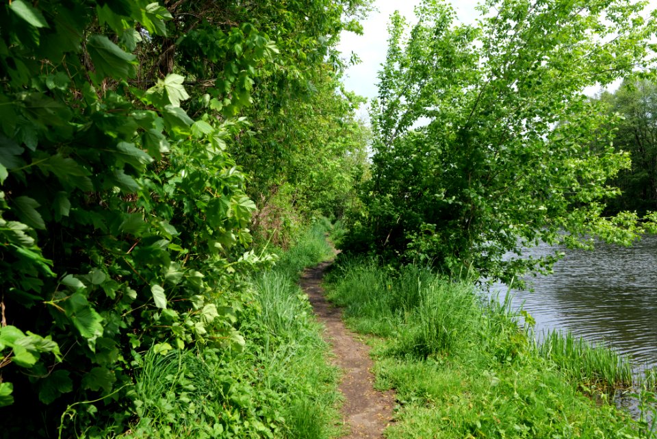 Around Hohenschöpping 2020-05-10 17