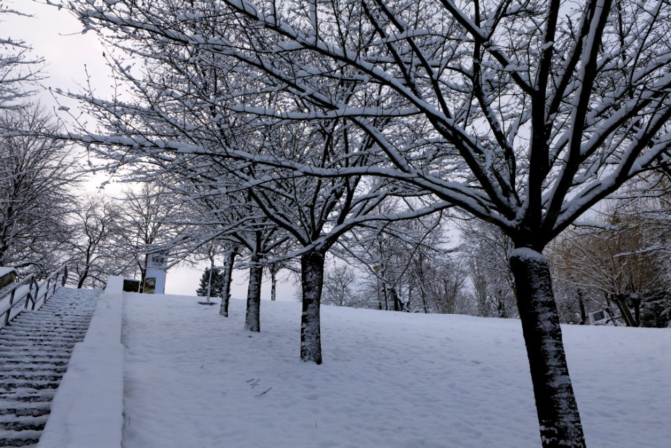 Around Griebnitzsee with snow 2021-01-30 04