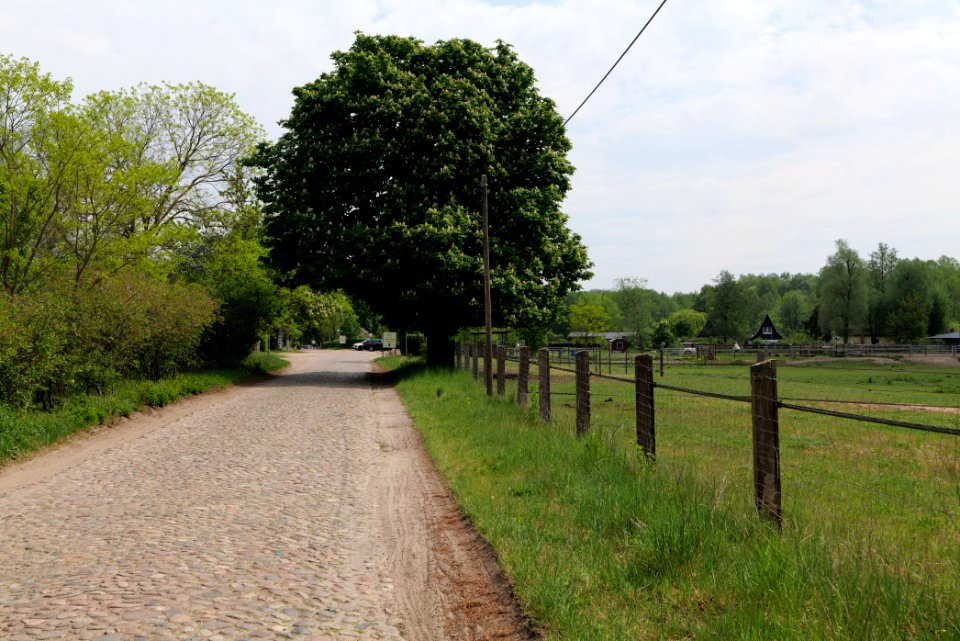 Around Hohenschöpping 2020-05-10 07