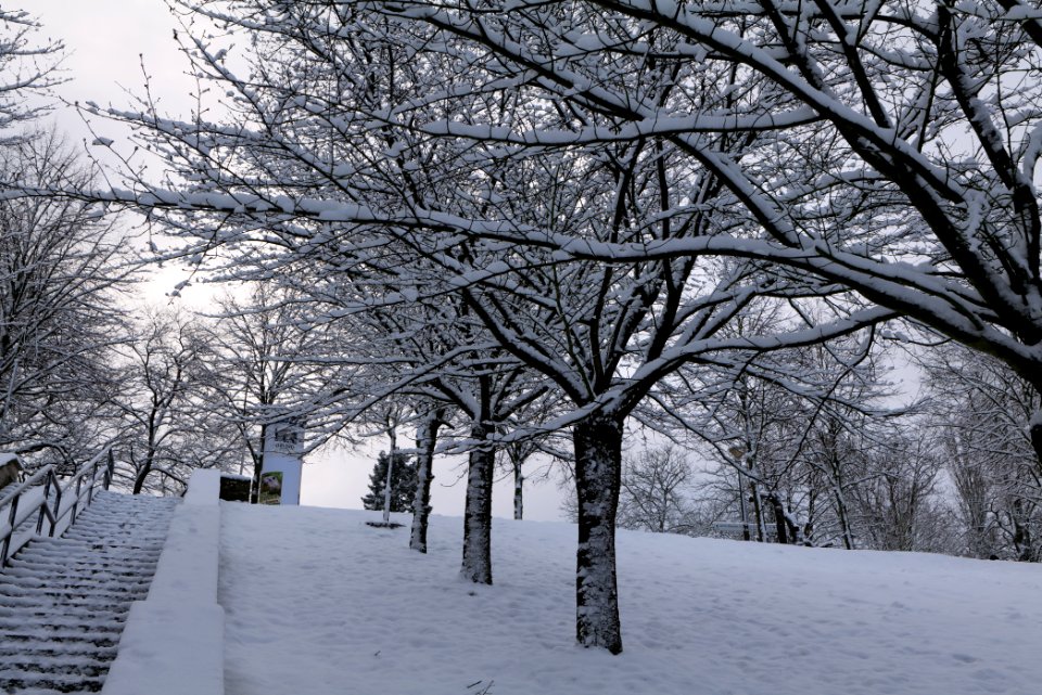 Around Griebnitzsee with snow 2021-01-30 05