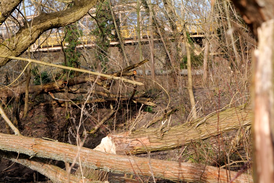 Around Zehlendorfer Stichkanal 2021-02-24 02