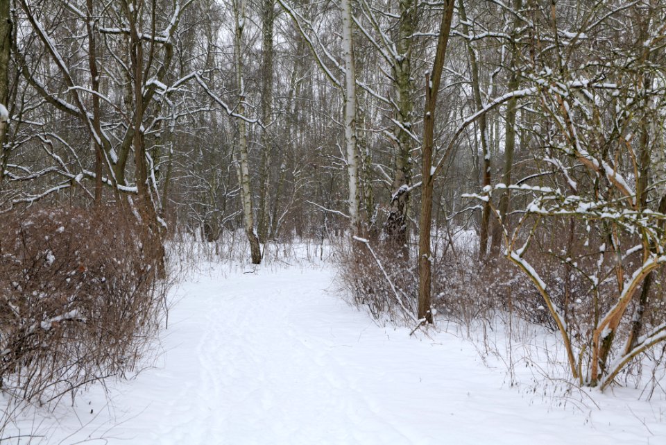 Around Oberjägerweg in Nieder Neuendorf with snow 2021-02-09 01