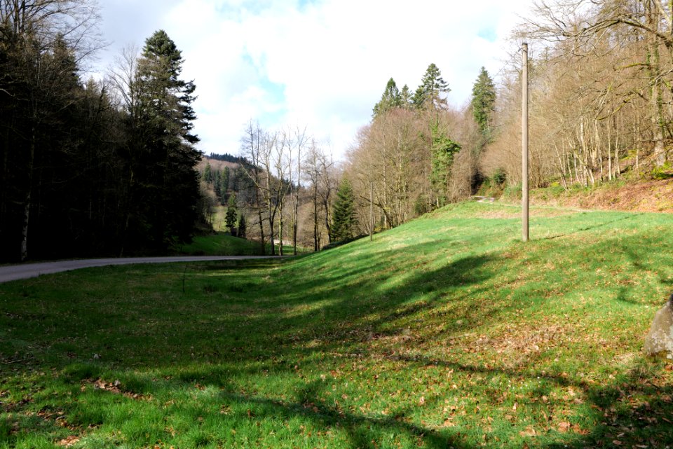 Around Harzbach 2020-03-13 27