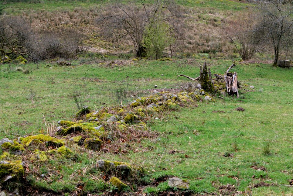 Around Harzbach 2020-03-13 17