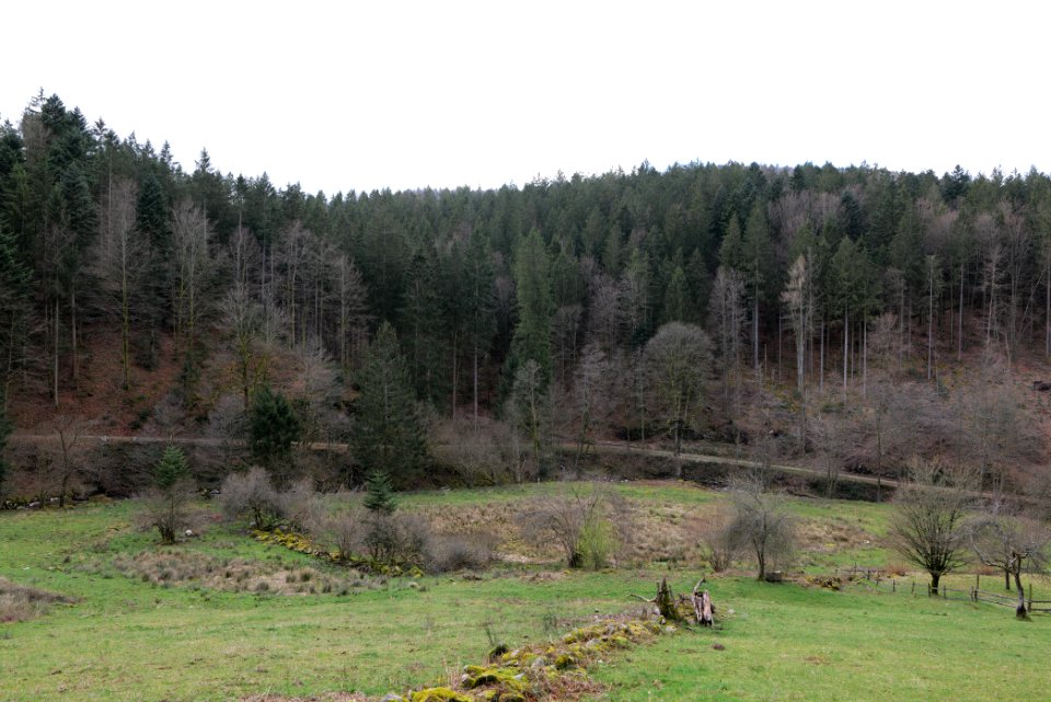 Around Harzbach 2020-03-13 14
