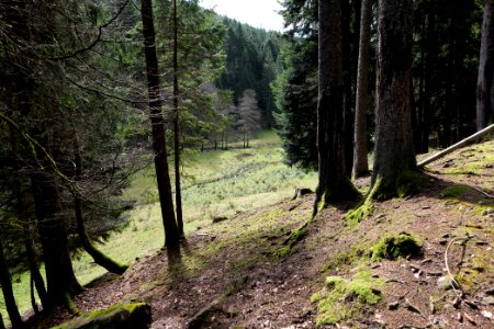Around Sankenbach 2020-03-12 39