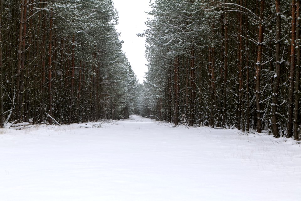 Around Oberjägerweg in Nieder Neuendorf with snow 2021-02-09 16