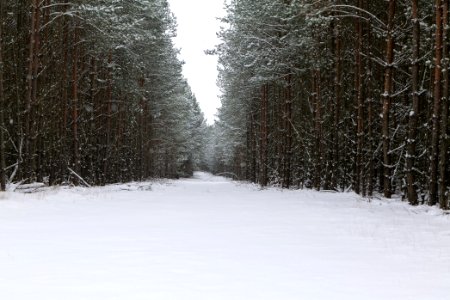 Around Oberjägerweg in Nieder Neuendorf with snow 2021-02-09 16