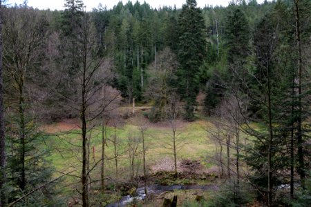 Around Sankenbach 2020-03-12 49