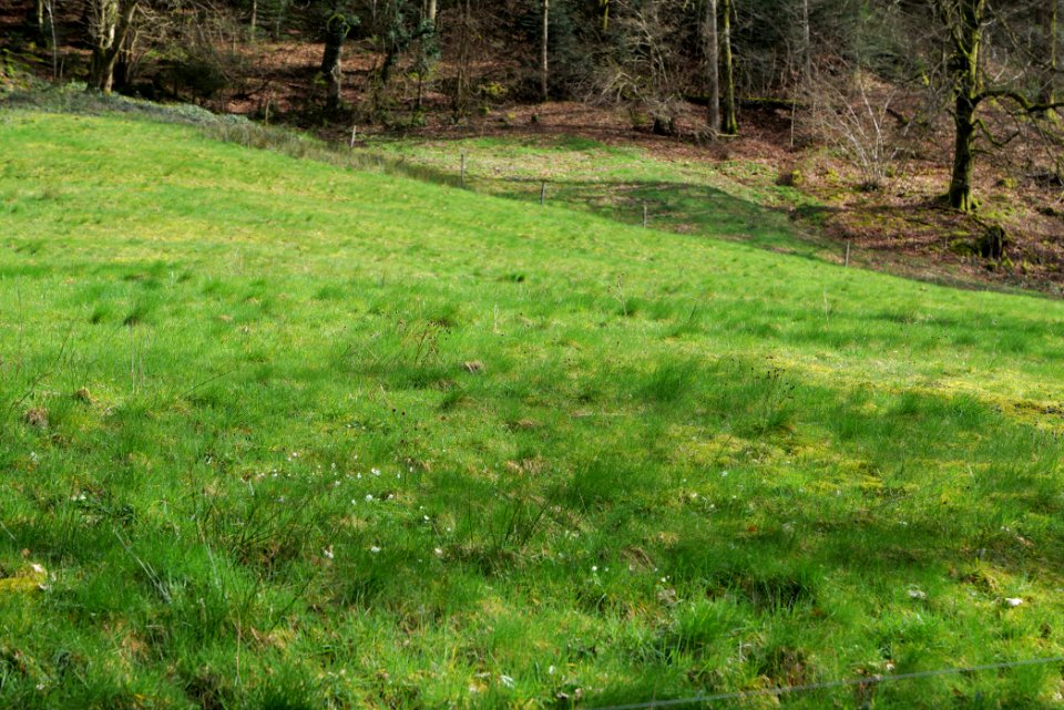 Around Grobbach 2020-03-13 04